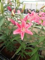 [5355 Vancouver DJ No02.JPG]